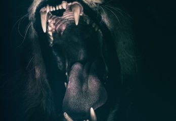 farligaste hunden